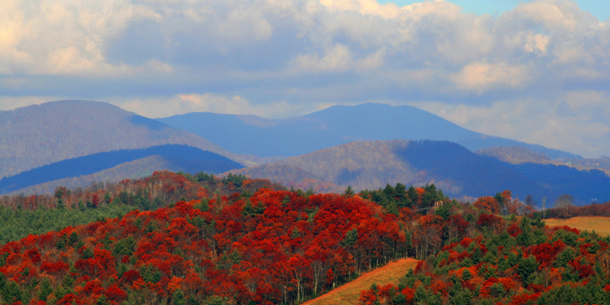 North Carolina