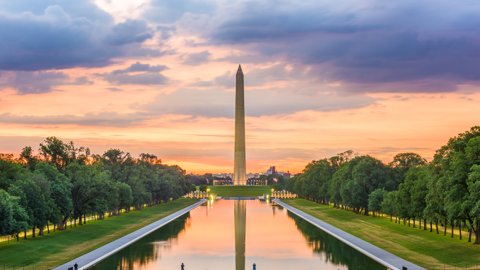 Languages of Washington DC