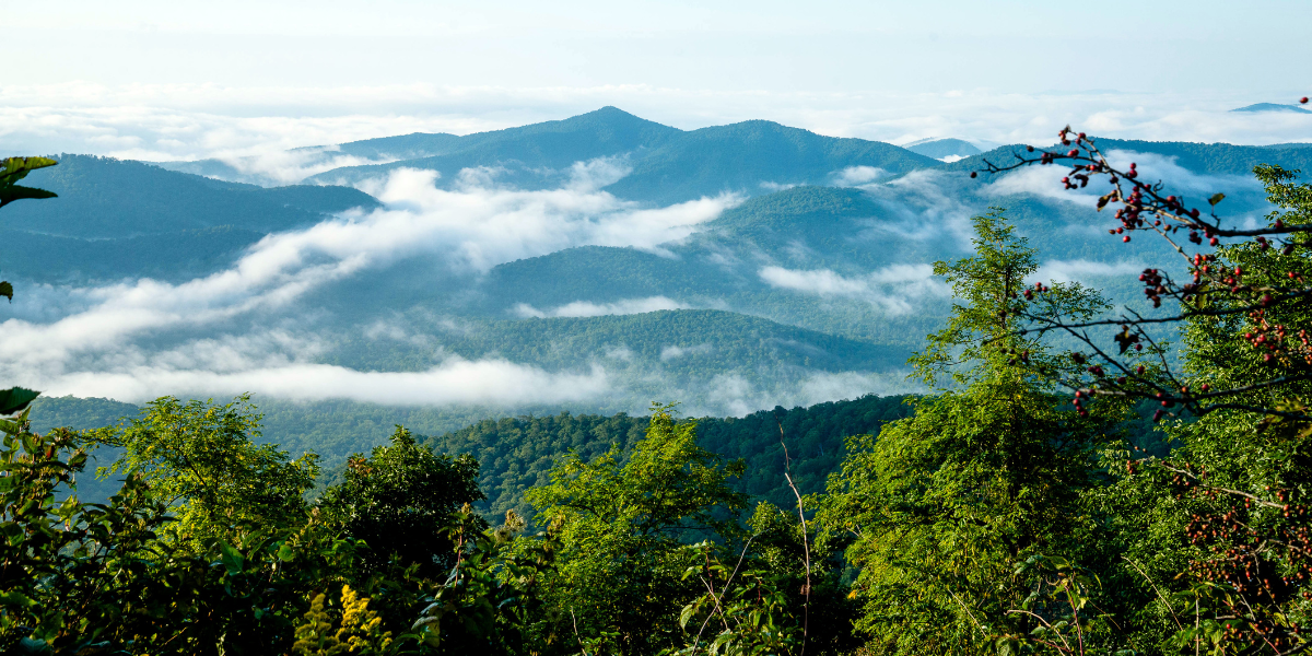 Languages, Languages of West Virginia