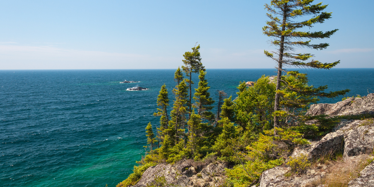 top Languages of Michigan